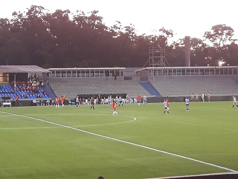 Jugadores forcejeando en un partido de alta friccion